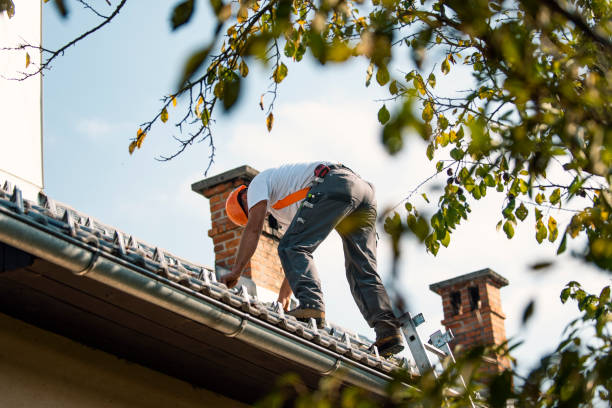 Best Metal Roofing Contractor  in Mattawan, MI